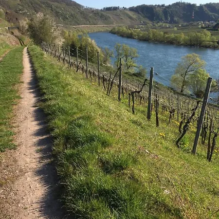 住宿加早餐酒店 Altero 3*