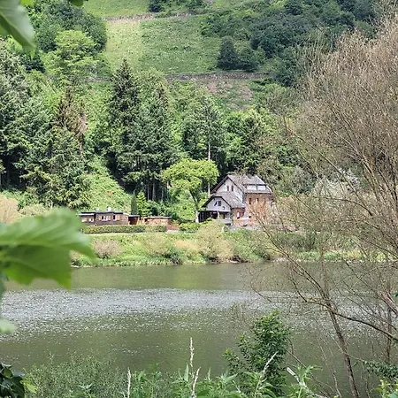 Altero 3* 平德里希