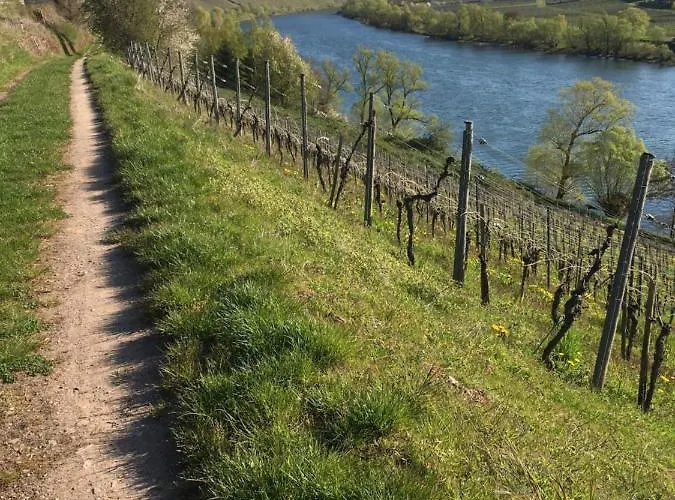 Frühstückspension Altero 3*