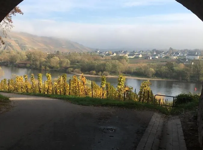 住宿加早餐酒店 Altero 平德里希